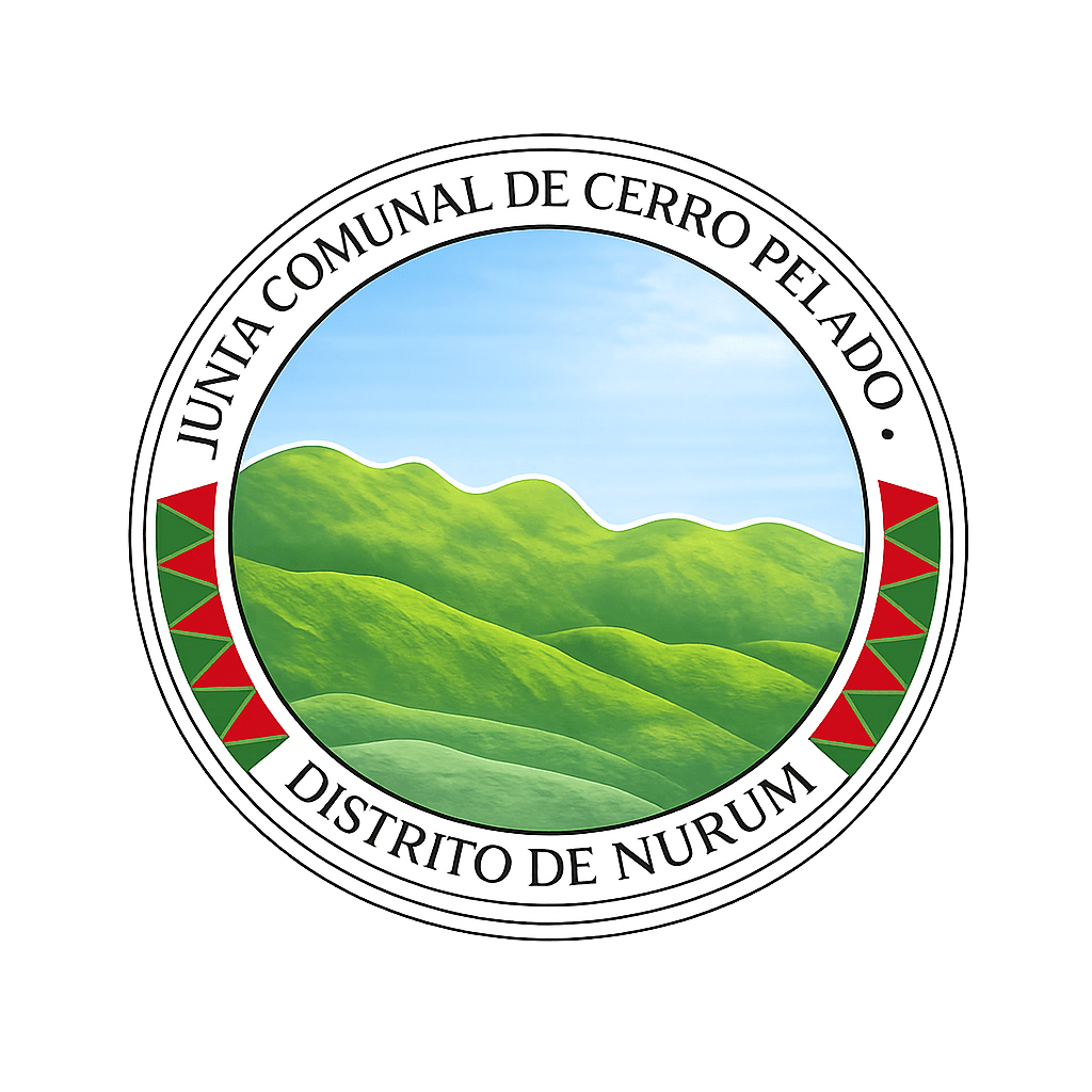 Junta Comunal de Cerro Pelado